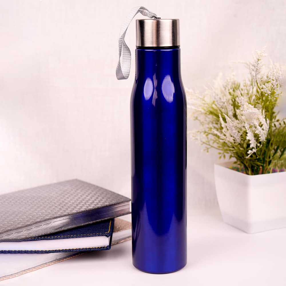 Aqua Stainless Steel Bottle 750ml-Blue