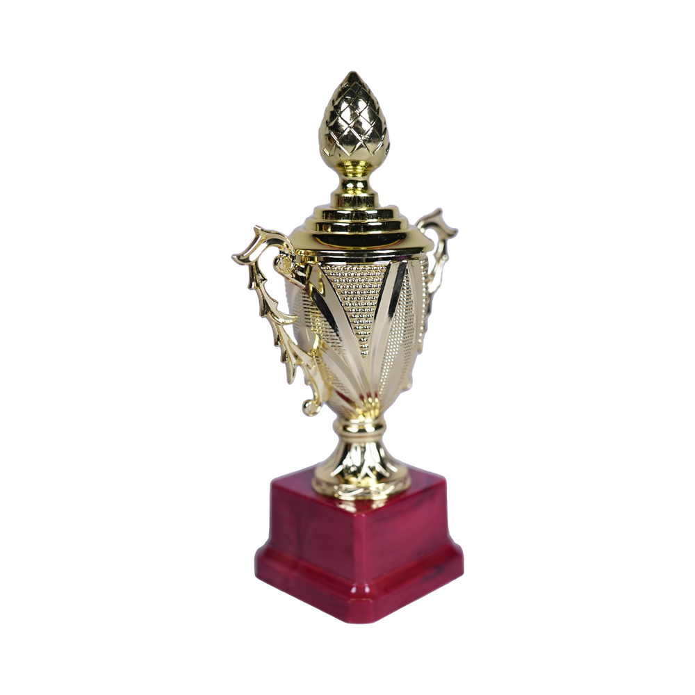 Home Decor/ Show Piece/ Gift Trophy (Big)