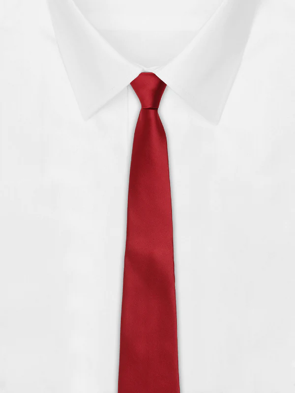 Satin Brick Red Solid Neck Tie