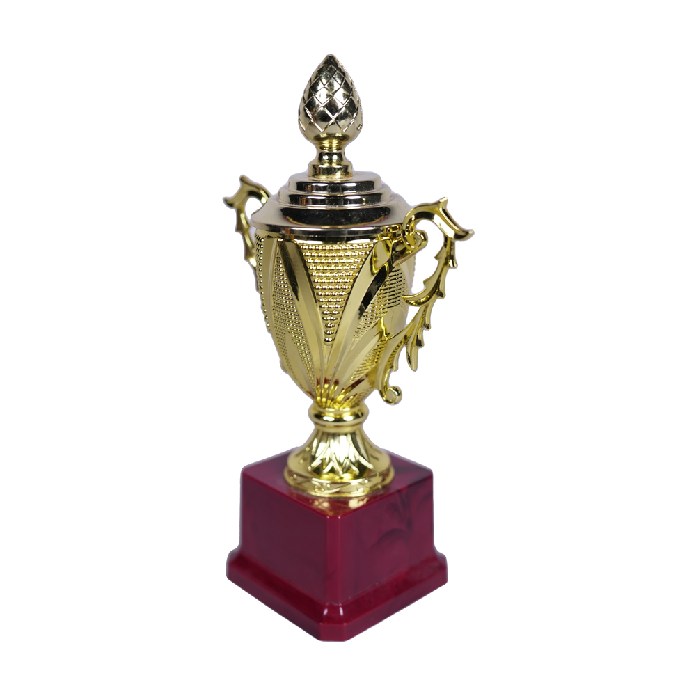Home Decor/ Show Piece/ Gift Trophy (Small)